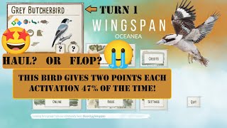 Turn 1 Butcherbird Will we haul or flop  Wingspan Oceania Gameplay [upl. by Ellah]