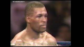 Roy Jones Jr vs Bernard Hopkins Full Fight [upl. by Nnainot]