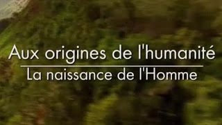 Aux origines de lhumanité  La naissance de lhomme 23 [upl. by Goldenberg]