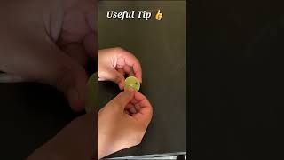 Useful Fridge Tip👌 tipsforkitchen tipsandtricks tips kitchentips kitchenhacks hometips shorts [upl. by Balduin855]