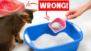 Never make THESE MISTAKES with YOUR CATS LITTER BOX 😿🔥 [upl. by Nahum]