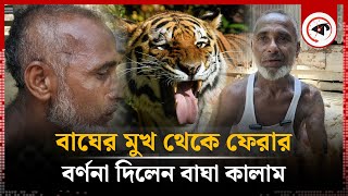 বাঘের মুখ থেকে যেভাবে বেঁচে ফিরেছিলেন বাঘা কালাম  Sundarbans  Tiger  Bagha kalam  Barguna News [upl. by Lennahc]