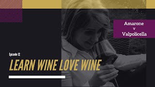 Learn Wine Love Wine Episode 12  Amarone V Valpolicella [upl. by Suhail]