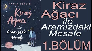 Kiraz Ağacı ile Aramızdaki Mesafe  1 Seslendirme Bölümü [upl. by Nnair267]