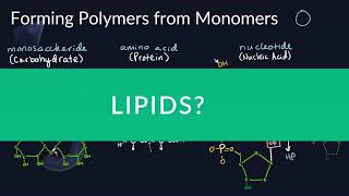 Monomers and Polymers of Biological Macromolecules  Monomers and Polymers Part 3 [upl. by Oner]