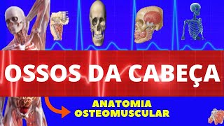 OSSOS DA FACE E OSSOS DO CRÂNIO ANATOMIA HUMANA  OSSOS DA CABEÇA  NEUROANATOMIA [upl. by Noval]