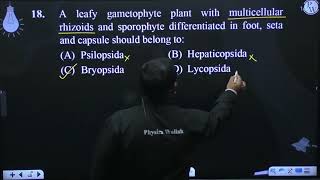 In mosses leafy stages develops from the secondary protonema as a [upl. by Buine]