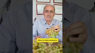 Üzüm Aldığınızda Mutlaka Deneyin  Üzüm Saklamanın Püf Noktası üzüm grape drhüseyintapik [upl. by Minetta]