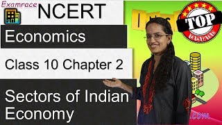 NCERT Class 10 Economics Chapter 2 Sectors of Indian Economy Dr Manishika  English  CBSE [upl. by Swann820]