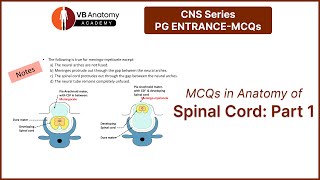 MCQ in Anatomy of Spinal cord Part 1 [upl. by Cammy955]