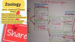 Basis of classification of Animal Kingdom Symmetry Layering Coelom And Opening formed first [upl. by Lu]