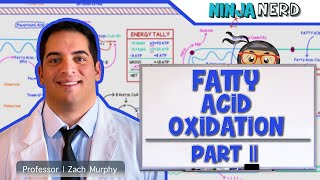 Metabolism  Fatty Acid Oxidation Part 2 [upl. by Giefer]