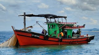 musim ikan bilis di pesisir laut Kuala Terengganu [upl. by Llenyar]