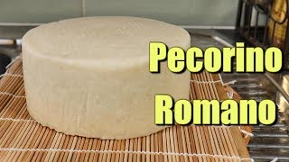 How to make Pecorino Romano at home using Raw Milk [upl. by Aniroc]