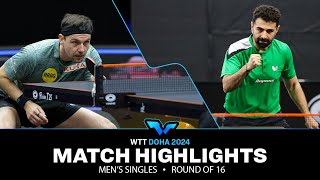 Timo Boll vs Noshad Alamiyan  MS R16  WTT Contender Doha 2024 [upl. by Pendergast]