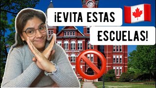 ✅Cómo elegir el COLLEGE CORRECTO para estudiar en Canadá🇨🇦 EVITA estas escuelas en Canadá [upl. by Ida]