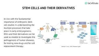 Induced Pluripotent Stem Cells [upl. by Yboc666]