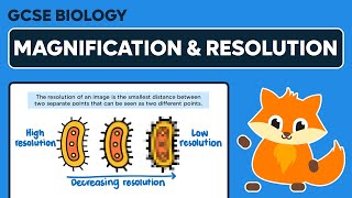 Magnification amp Resolution  GCSE Biology [upl. by Menashem]