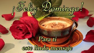 ☕Feliz Domingo bendiciones🌸el video más lindo de buenos días ábrelo es para ti [upl. by Marni864]