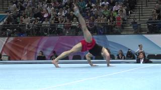 FRANK BAINES FX SENIOR BRITISH 2014 AA [upl. by Wirth85]