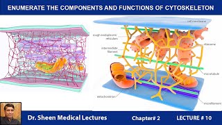 ENUMERATE THE COMPONENTS AND FUNCTIONS OF CYTOSKELETONCH 2 LEC 10 [upl. by Torhert]