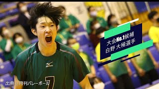 【春の高校バレー2024注目選手⑥】大会NO1 OH筆頭 白野 大稀選手正智深谷高校 [upl. by Adnohsal161]