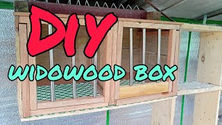 DIY WIDOWHOOD BOX PERCH FOR RACING PIGEONS [upl. by Curtice891]