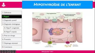 Hypothyroïdie de l’enfant [upl. by Oriel]