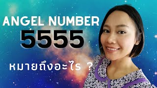 Angel Number 5555 ใครได้เจอ คนนั้นโชคดีมาก [upl. by Odelinda]