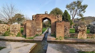 Wah Garden  Wah cantt  Best Picnic Place  Mughal Garden wah  مغل گارڈن واکینٹ [upl. by Enitram]