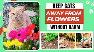 How to To Keep Cats Out Of Flower Beds Naturally [upl. by Najed]