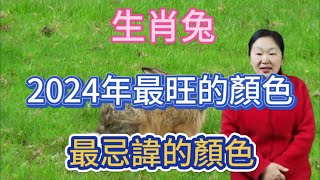 生肖兔！2024年最旺的顏色！屬兔人最忌諱的顏色！用對顏色就能招來好運！一整年都好運連連！平安吉祥！財源滾滾！ [upl. by Eltsirk]