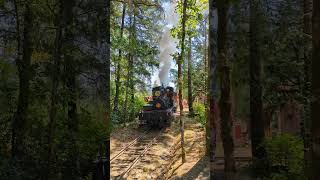 Hillcrest Lumber Company Shay 1 July 2824 shaylocomotive train bcforestdiscoverycentre [upl. by Angelina]