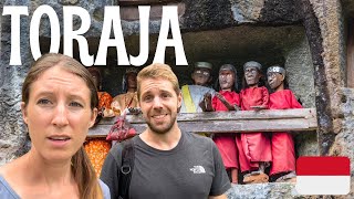 Culture Shock in TORAJA Sulawesi🇮🇩Indonesia Vlog Kete Kesu Londa Lemo Tongkonan Jesus Statue [upl. by Oberheim]