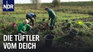 Forschen fürs Klima Das Ökowerk in Ostfriesland  Die Nordreportage  NDR Doku [upl. by Ynalem]