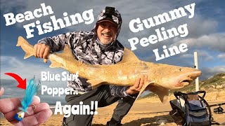 Beach Fishing Gummy Shark Peeling Line Sensational ep150 [upl. by Drugi]