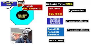 Tyrosine kinase inhibitors by DAMS Faculty [upl. by Odragde]