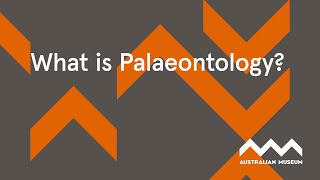 What is Palaeontology [upl. by Kcirret]