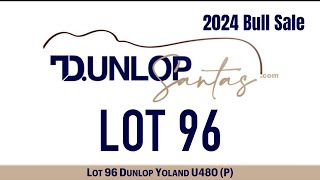 Lot 96 Dunlop Yoland U480 P [upl. by Luigi]