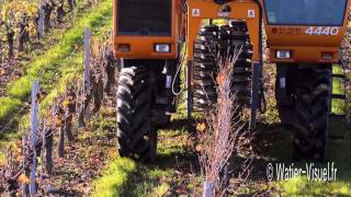 Prétaille de la vigne avec une Prétailleuse Visio de Pellenc [upl. by Linette]