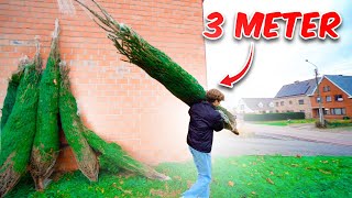 3 METER LANGE KERSTBOOM OPHALEN 🎄 232 [upl. by Grosvenor398]