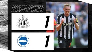 Newcastle United 1 Brighton and Hove Albion 1  Premier League Highlights [upl. by Ful479]