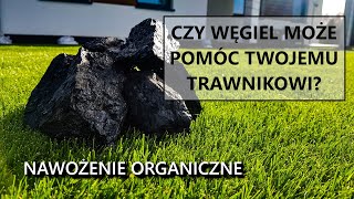 NAWOŻENIE ORGANICZNE trawnik wiosenne nawożenie trawnika kwasy humusowe nawożenie dolistne [upl. by Yrram]