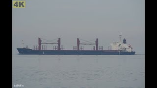 S NEPTUNE  Shipspotting Germany 🇩🇪 IMO 9634892  River Elbe near City Otterndorf  4K VIDEO [upl. by Akemat]