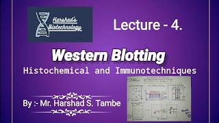 Western Blotting  Immunological Techniques  Series 2 Lecture 4 [upl. by Yorke529]