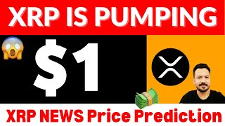 XRP is Pumping 😲🚀 XRP News Today in Urdu Hindi XRP Price Prediction 2024 XRP Ripple Lawsuit XRP ETF [upl. by Schlesinger]