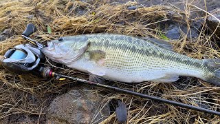 BFS Fishing in Open Water [upl. by Xam]