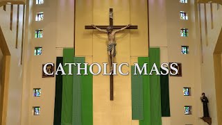 Roman Catholic Mass for June 16th 2024 Eleventh Sunday in Ordinary Time [upl. by Anaibaf]