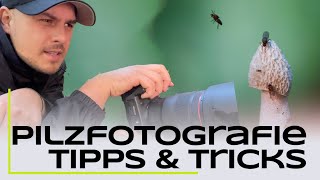 Pilzfotografie Tutorial  5 Tipps für bessere Fotos [upl. by Adnoral671]