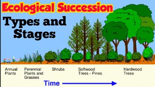 Ecological Succession  Primary and Secondary succession  Stages of Xerosere Hindi urdu [upl. by Neron871]